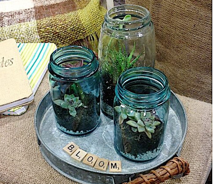 Mason Jar Terrariums