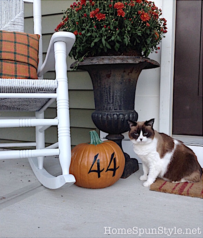 DIY: Painted Porch Pumpkin