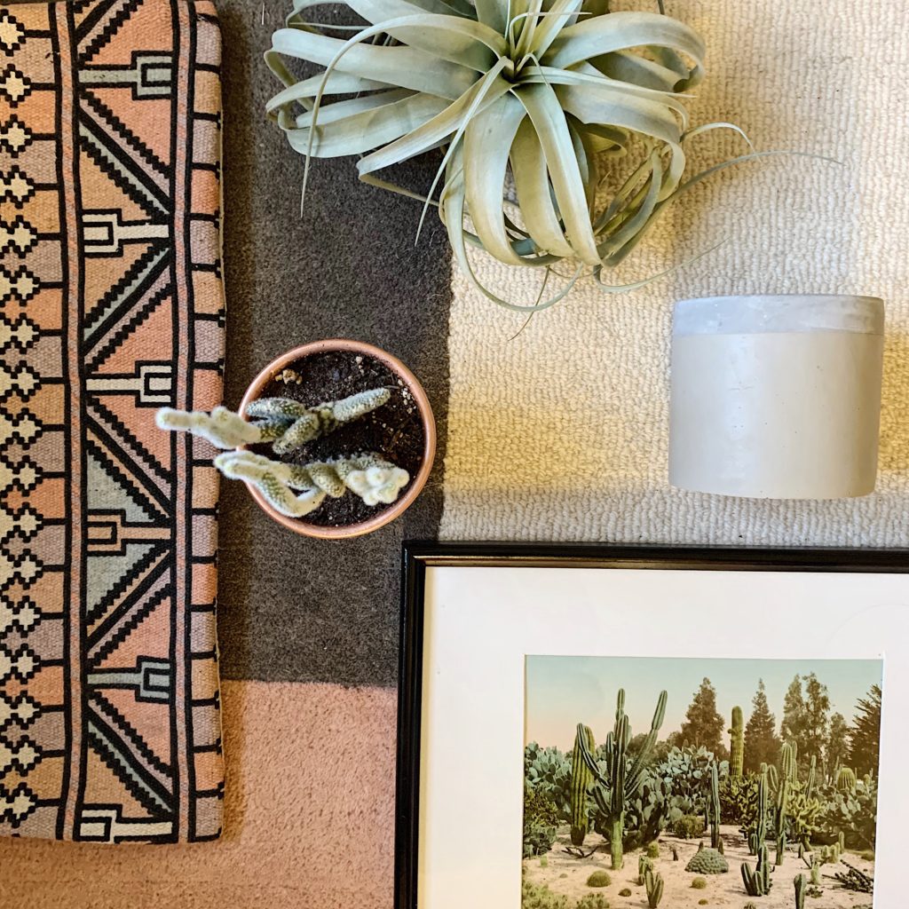 mood board in rose, grey, cream and blush with color blocked Target rug, Five Below boho rug, air plant, cactus and desert print
