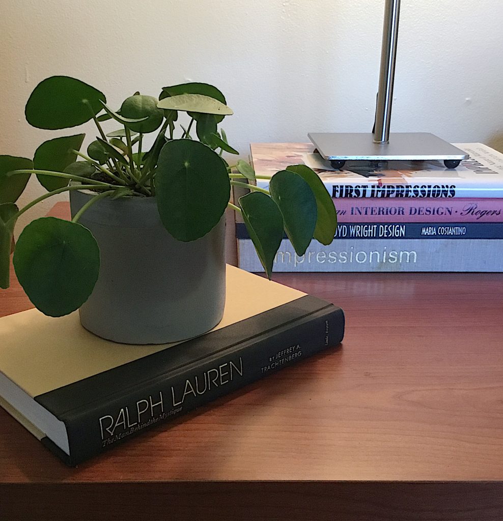 stack of hard cover books on end table with plant and lamp