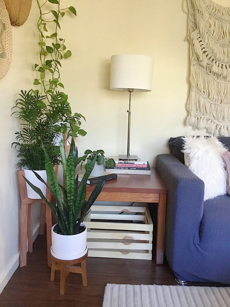 House plants displayed in graduated wood plant stands along with end table, thrifted books and slipcovered sofa
