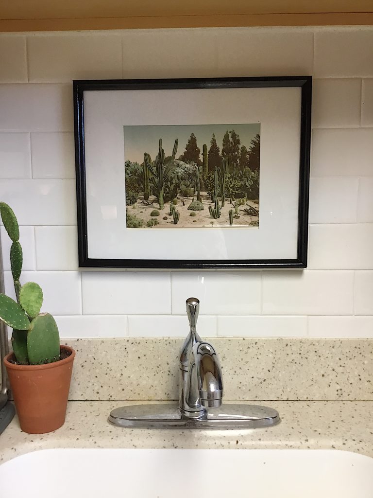 small framed print of desert with many cacti