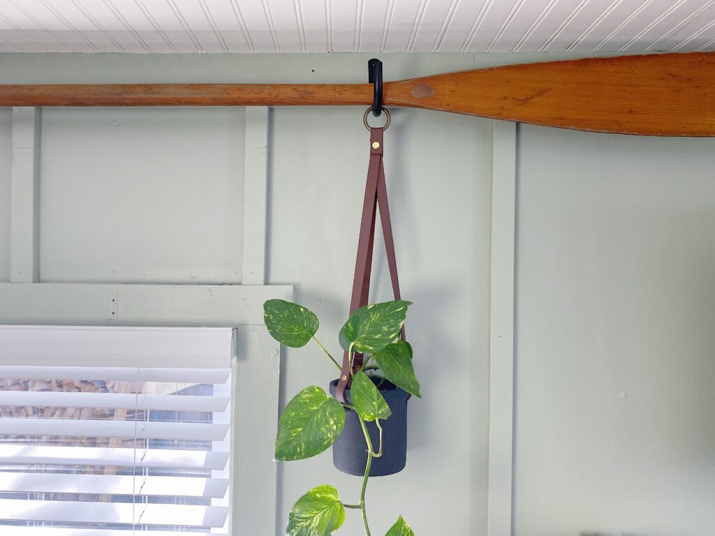 old stained wood oar hanging above window with hanging plant on green board and batten wall