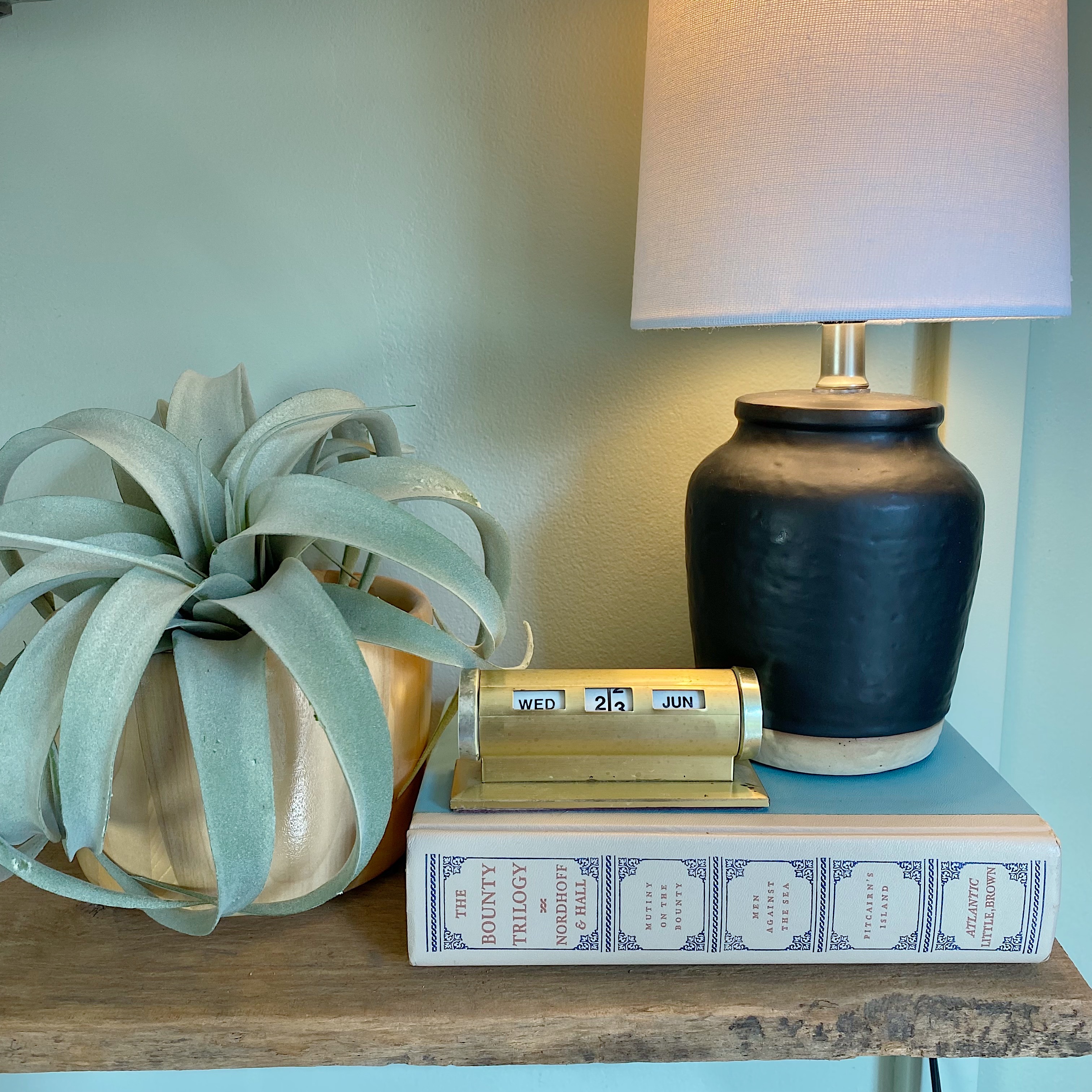 wood plank shell with small lamp, vintage calendar, air plant and high seas vintage book