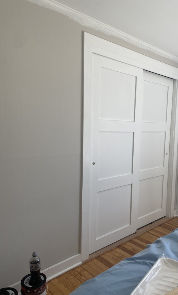 Double closet door, white with panels
